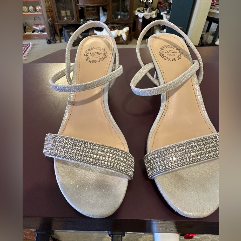 Silver Evening Shoes